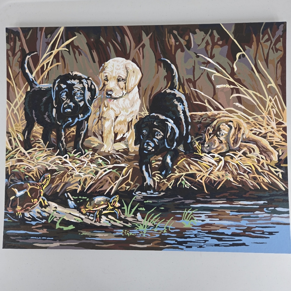 Turtle Hunters Finished Paint By Number Acrylic Painting Nature Pond Dogs 20x16